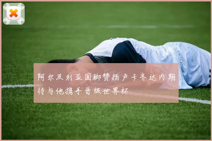 阿尔及利亚国脚赞扬卢卡齐达内期待与他携手晋级世界杯