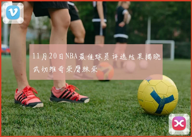 11月20日NBA最佳球员评选结果揭晓武切维奇荣膺殊荣