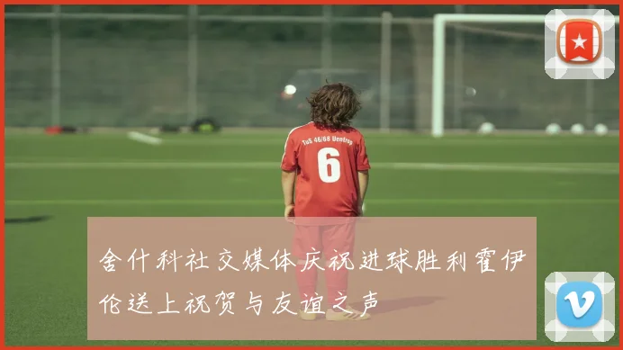 舍什科社交媒体庆祝进球胜利霍伊伦送上祝贺与友谊之声